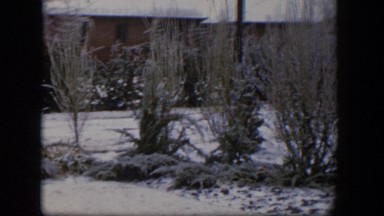 1954: viewing of a snowy property. NEVADA