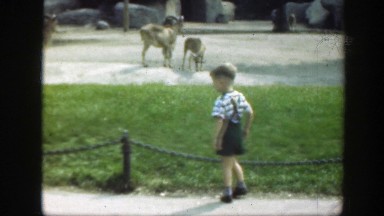 1948: little boy running on the sidewalk. WASHINGTON DC