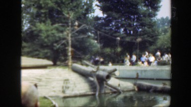 1948: people visiting a cool animal zoo. WASHINGTON DC
