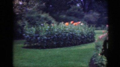 1948: community rose garden in the spring. WASHINGTON DC