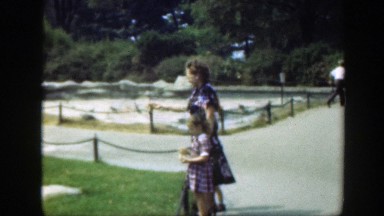 1948: woman and child feeding the birds at a park. WASHINGTON DC