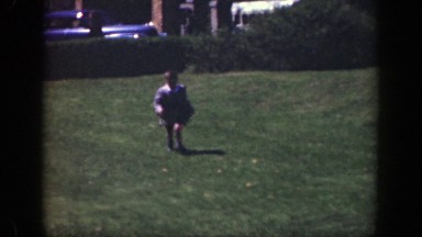 1949: a little boy running in the park and finding a daisy and showing it