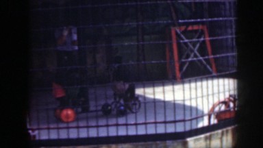 1948: monkeys in a large enclosure performing stunts like riding a tricycle