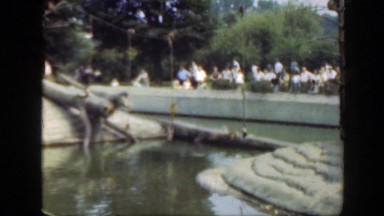 1948: watching monkeys at the zoo. WASHINGTON DC