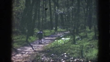 1949: A Lone Child Walks Down a Wooded Trail, Startled and Turns Around