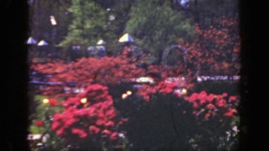 1949: Garden Area with Red and Pink Flowers, Shrubs, and Picnic Area in Cincinnati Ohio