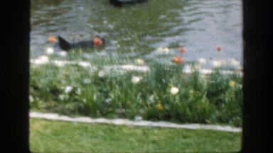 1949: Multicolored Flower Arrangement Along Pond and Lawn Cincinnatti Ohio