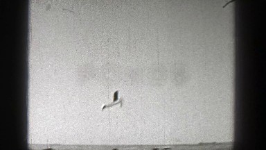 1938: group of men launch craft airplane, watch it soar through sky WASHINGTON