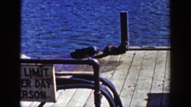 1939: sea otters hanging out on a dock by the water WYOMING