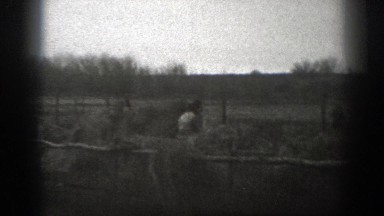 1939: cows walking around outside. MONTANA