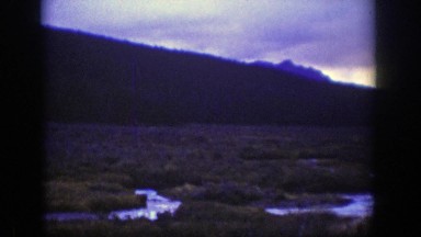 1939: Two Deers Galloping Across Frozen Water in Wyoming