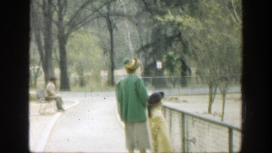 1949: People Watching Geese Walking By in Cincinnati Ohio