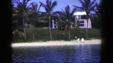 1948: View of a Tropical Resort in New York