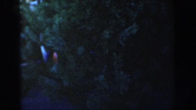 1954: View of Christmas Tree from Outside at Night in Wisconsin Dells
