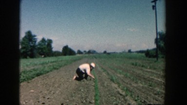 1957: people working in their garden on a sunny day. MICHIGAN