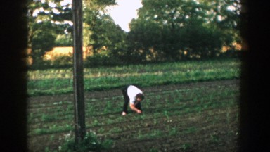 1957: person tending to a garden. MICHIGAN
