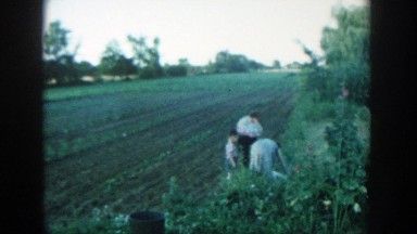 1957: family gardening in the spring. MICHIGAN
