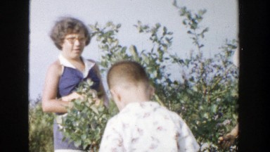 1957: kids harvesting off tree MICHIGAN