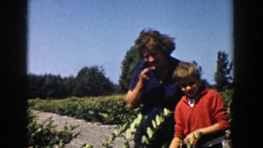 1958: mom with her boy plucking the fruits from the orchard and enjoying it