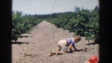 1958: a kid playing outside in a garden with a toy shovel digging MICHIGAN