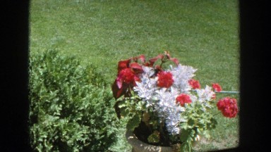1964: man showing two women where the outdoor flower were. WISCONSIN