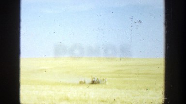 1936: people working in a random field. CALIFORNIA