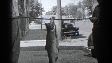 1936: shooting of a fish caught capture workout CALIFORNIA