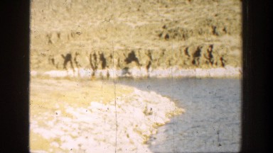 1936: person and animals walking along a shoreline of a body of water CALIFORNIA