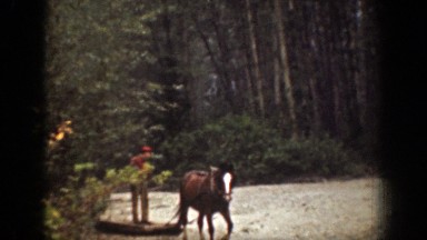 1939: loggers at work in the forest. CHELAN WASHINGTON