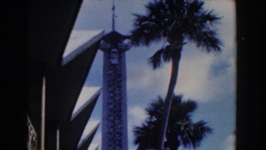 1961: View of a Palm Tree by Building in Nassau, Bahamas