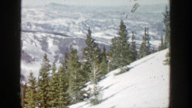 1961: Upright Fir Trees Contrast With Steep Snowy Slope And Mountain