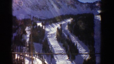 1961: beautiful tall pine trees half covered in a bed of snow. ASPEN COLORADO