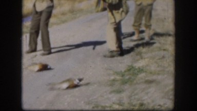 1958: group of men hunter shooting down ducks. KANSAS