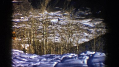 1961: Snow and Trees with Ski Tracks and a Brief Snippet of a Lift