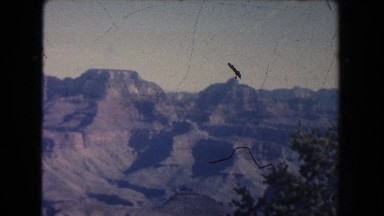1951: three men look out onto a beautiful canyon. NEW MEXICO