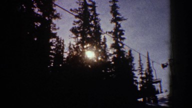1961: Sunlight Filtering Through Trees in Aspen Colorado