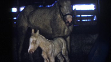 1958: a proud momma. NEBRASKA