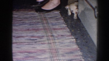 1958: A Puppy Exploring Through the Kitchen While People Prepare Something
