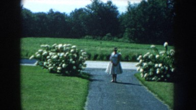 1959: a woman poses on driveway between two flowering bushes and car drives down