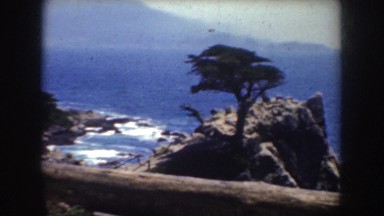 1952: the rocky shoreline with waves and a lone tree growing out the rock
