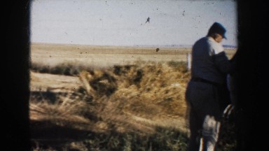 1953: man tries to get directions from a horse while wife patiently waits. SOUTH