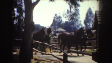 1952: a cart drawn by four horses transports a group of people in a rural area