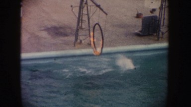 1962: Dolphin Jumping Through Fire Ring, California