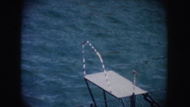 1962: Sea Lion Climbing Onto a Platform in Front of a Lake California