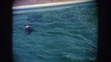 1962: Dolphin Show in a Pool California