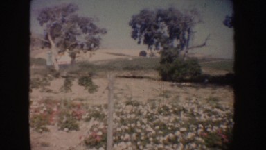 1962: An Afternoon in the Country California