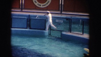 1962: Man in White Uniform Walks Along Pool with Sea Lions in California