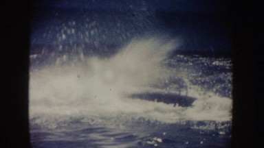 1962: A Beautiful Whale Splashing Off California Coast