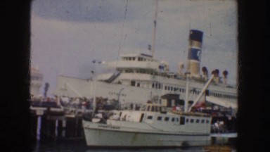 1952: A Variety of Boats and Ships at a Busy Marina with Spectators