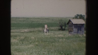 1955: a young boy enjoying a horse ride IDAHO
